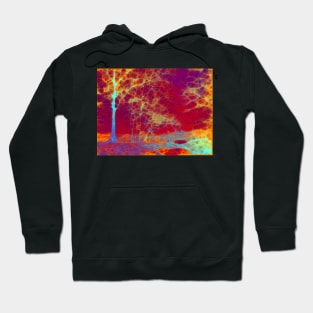 Trees and red sky Hoodie